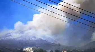 Güney Kıbrıs'ta yangın paniği