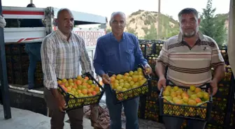 Korkuteli'de hasadına başlanan kayısının ilk ihracatı gerçekleştirildi