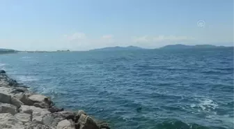 Müsilaj temizleme çalışmaları sürüyor