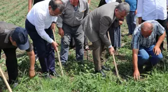 Samsun Büyükşehir Belediye Başkanı Demir, Havza'da yatırımları inceledi