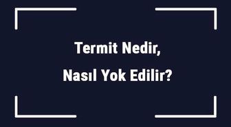 Termit Nedir, Nasıl Yok Edilir? Termit İnsana Zarar Verir Mi?