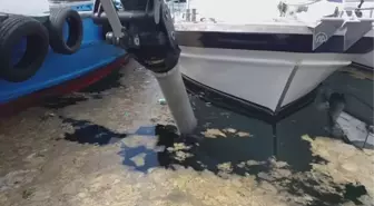 Müsilaj temizleme çalışmaları sürüyor