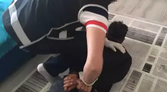 'Boğalar Çetesi' adıyla tefecilik yapan şüphelilere 'Matador Operasyonu': 12 gözaltı