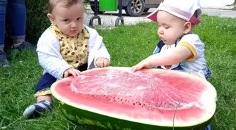 Günün gülümseten fotoğrafı Afyonkarahisar'dan