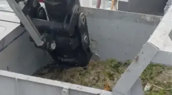 Müsilaj temizleme çalışmaları sonuç veriyor