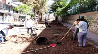 Park ve Bahçelerde Bakım Çalışmaları Sürüyor