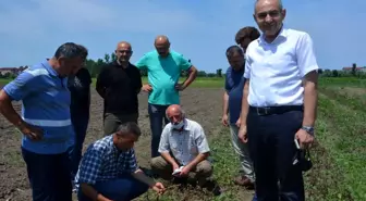 Trabzon'dan 19 Mayıs salebini incelemeye geldiler