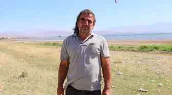 Son dakika haber! Van'daki martı ölümlerinde salgın hastalık bulgusuna rastlanmadı