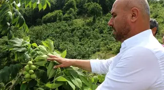 Atıl arazilerde üretim seferberliği