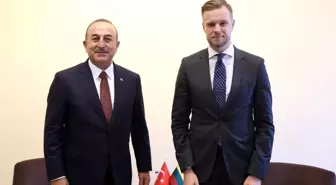 Bakan Çavuşoğlu, Litvanyalı mevkidaşı Landsbergis ile görüştü