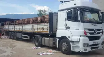 Boyabat ilçesinden kurbanlıkların sevkiyatı başladı