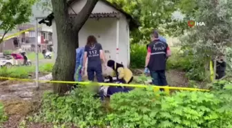 Bursa'da tarlada ceset bulundu