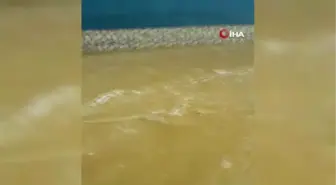 Dağ köyleri sele teslim: Dere yatakları taştı, asfaltlar söküldü
