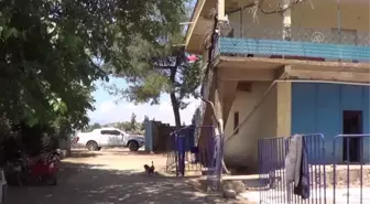 GAZİANTEP - Evin bahçesinde ortaya çıkan tarihi mozaikler müzeye taşınıyor