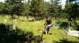 Hisarcık'ta mezarlık temizliği