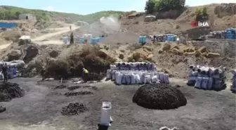 Kavurucu sıcakta kan ter içinde ekmek mücadelesi