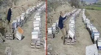 ''Kızımı kullandı'' deyip, boşanma davası açan damadının arı kovanlarını paramparça etti! Kayınpederin intikamı kamerada