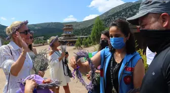 Son dakika haber! Kültür ve Turizm Bakanı'nın eşi Pervin Ersoy ile ünlüler, Burdur'da lavanta tarlalarını gezdi