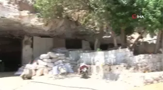 Sıcaklığın 50 dereceyi bulduğu Şanlıurfa'da kurbanlıklar 20 derecelik mağaralarda besleniyor