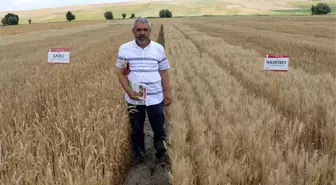 Yozgat'ta yerli tohumlar tanıtıldı