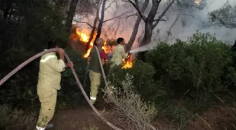 Foça'daki yangının etrafı çevrildi