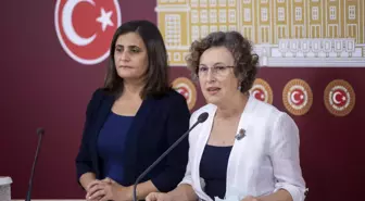 HDP'li Kerestecioğlu, KEFEK bünyesinde bugün kurulan alt komisyonlara üye vermeyeceklerini söyledi