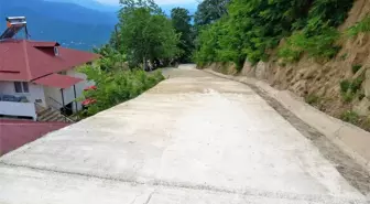 Altınordu'da beton yol çalışmaları sürüyor