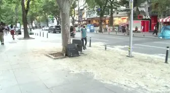 Bağdat Caddesi'nde aşırı hız yaparak yaşlı kadına çarpan araç sürücüsü adli kontrolle serbest