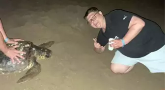 Caretta carettaya eziyet eden turistlere para cezası