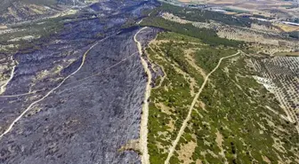 Foça'daki yangını, oyun oynayan iki çocuğun çıkardığı iddia edildi