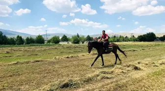 Isparta'da 350'den fazla genç madde bağımlılığından kurtuldu