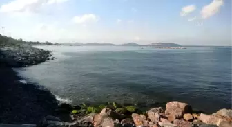 Kıyılarda müsilaj etkisini kaybetti