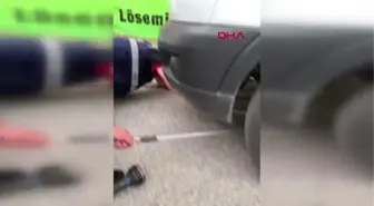 Son dakika haberi... AMBULANSA GİREN YILANI İTFAİYE ÇIKARDI