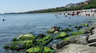 Avcılar'da vatandaşlar denize girerek serinledi