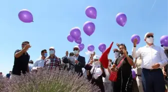 ISPARTA'DA 'LAVANTA GÜNLERİ' BAŞLADI; HEDEF 1 MİLYON ZİYARETÇİ