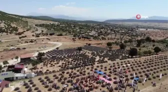 Isparta'da lavanta şenliği