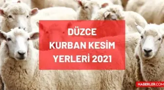 Düzce kurban pazar, kesim ve satış yerleri! 2021 Düzce kurban pazar yerleri, satış yerleri ve kurban kesim yerleri nerede? İletişim bilgileri!