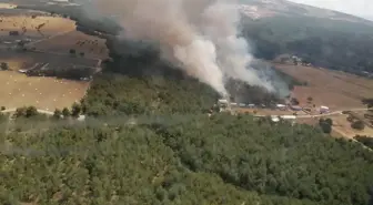 Bornova'da çıkan orman yangını kontrol altına alındı