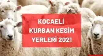 Kocaeli kurban kesim yerleri! 2021 Kocaeli (İzmit) kurbanlık satış yerleri, pazar yerleri ve kurban yerleri neresidir? Adres ve iletişim bilgileri!