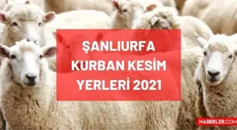 Şanlıurfa kurban pazar, kesim ve satış yerleri! 2021 Şanlıurfa kurbanlık pazar yerleri, satış yerleri ve kesim yerleri nerede? İletişim bilgileri!