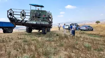 Tarsus'ta karabuğday hasadı başladı