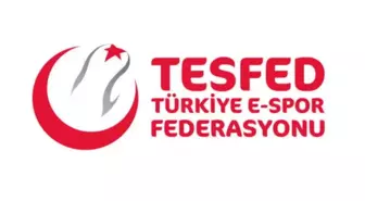 TESFED Ankara İl Tertip Komitesi, kadınlara özel bir turnuva hayata geçirecek