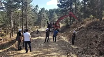 Altıntaş'ta orman yol yapım çalışmaları