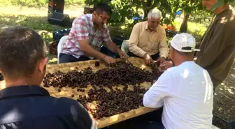 Hasadın tek eğlencesi radyo dinlemek