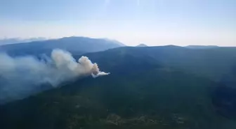 Hatay'da çıkan örtü yangını kontrol altına alındı