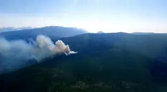 Son dakika! Hatay'da örtü yangınında 3 hektar alan zarar gördü