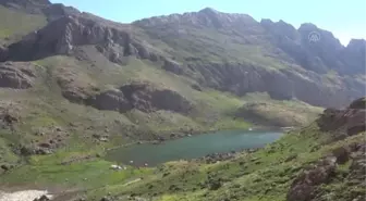 Şemdinli'de vatandaşlar terörden arındırılan Aktütün bölgesinde Türk bayraklarıyla halay çekti