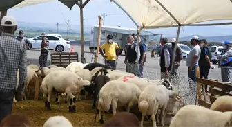 Kayseri'de kurban pazarları denetlendi