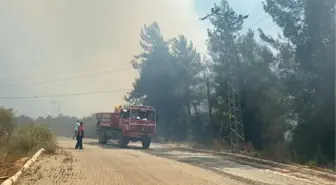 Son dakika haberi! Osmaniye'de hastane ve yerleşim alanı yakınında orman yangın (1)