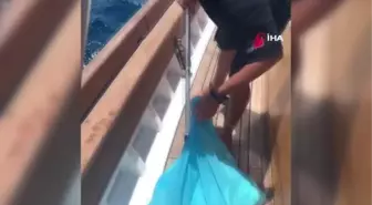Denizin ortasında çöp torbalarıyla karşılaştılar